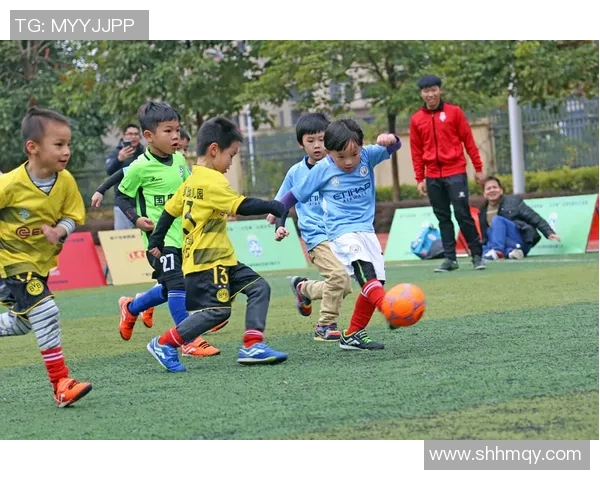 以娃娃足球星级体系为核心推动青少年足球全面素质与竞技水平提升路径研究 以娃娃足球星级体系为核心推动青少年足球全面素质与竞技水平提升路径研究