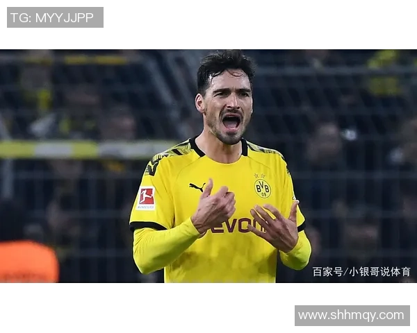 大连实德足球队球星回顾：辉煌岁月中的传奇人物与精彩瞬间