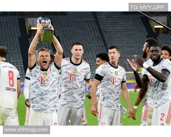 德国足球球员星级划分分析与评估体系详细解读